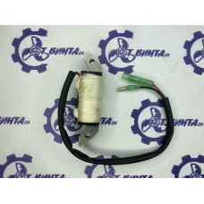 Катушка возбуждения Yamaha E8 Sea-Pro