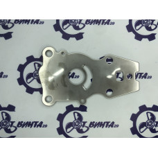 Пластина помпы Yamaha 40X RTT
